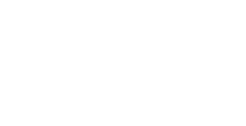 The Times Logo